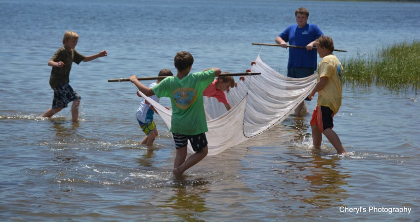 Kids using a fishing net