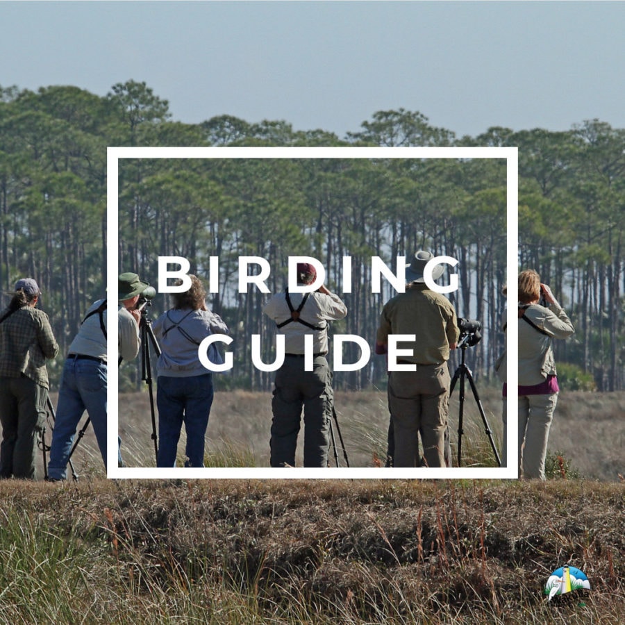 Image of Wakulla County Birding Guide Cover
