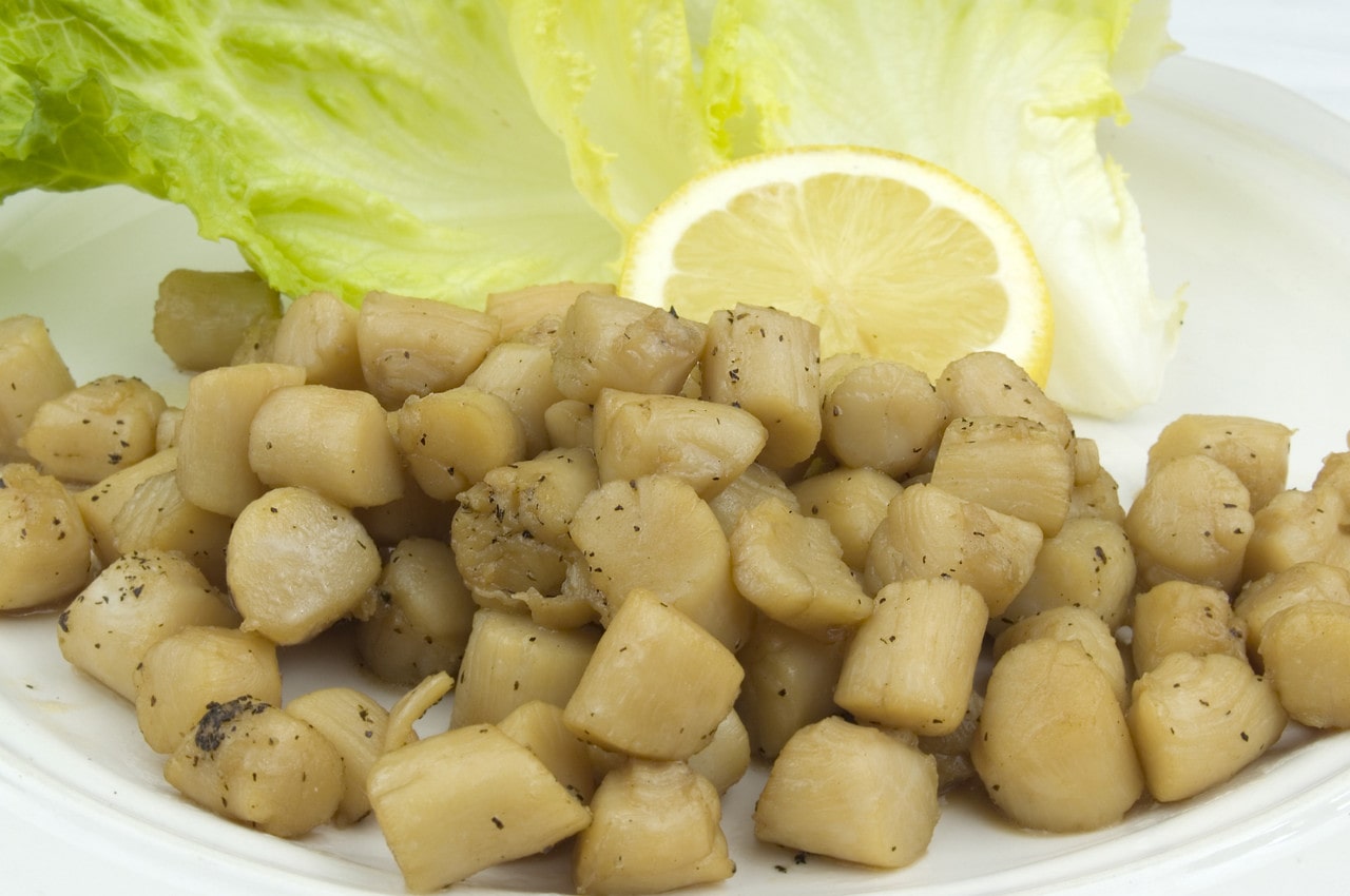 a collection of bay scallops cooked and seasoned, garnished with a lemon slice and lettuce