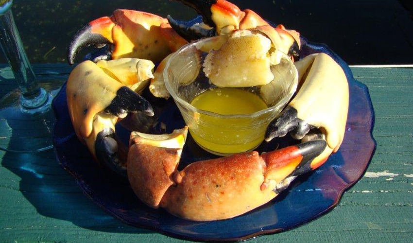Plate of stone crab claws with butter