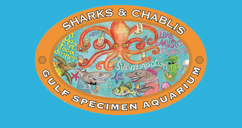 Graphic for Sharks & Chablis event
