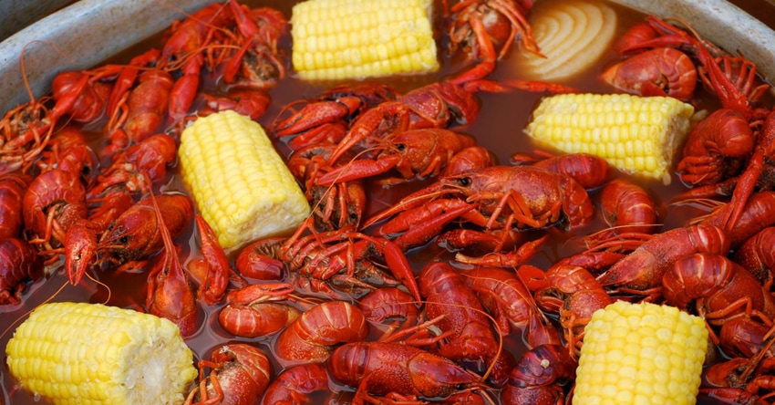 Crawfish low country boil with corn and onions