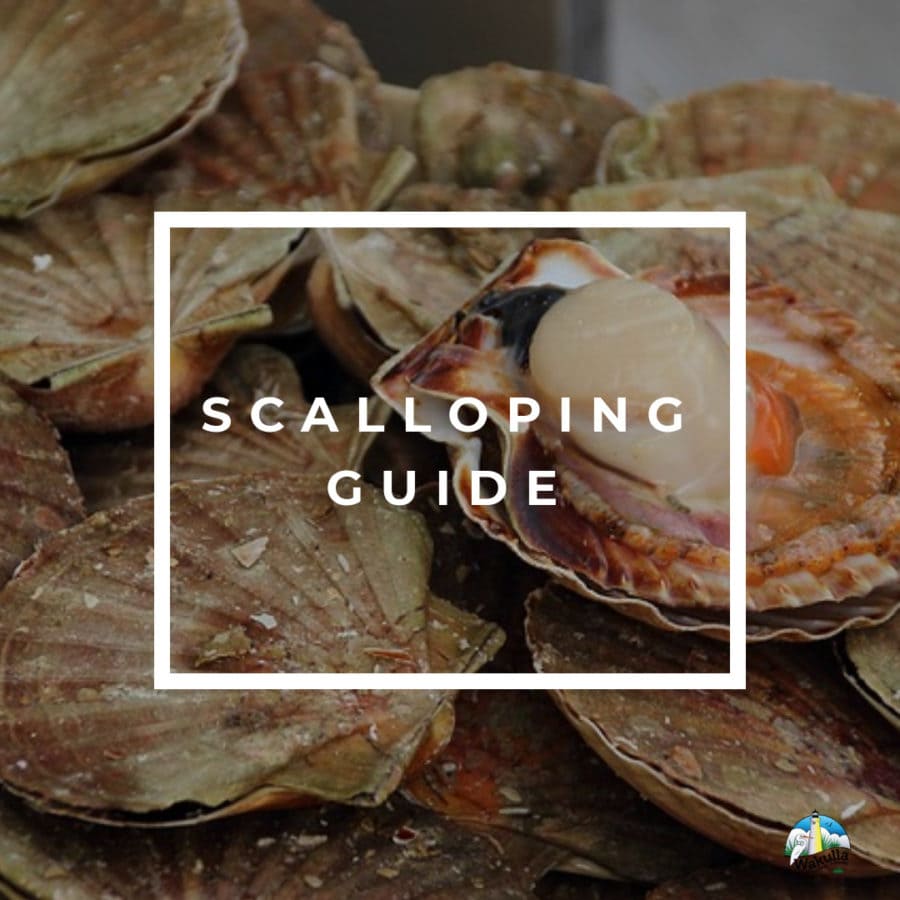 Image of Wakulla County Scalloping Guide Cover