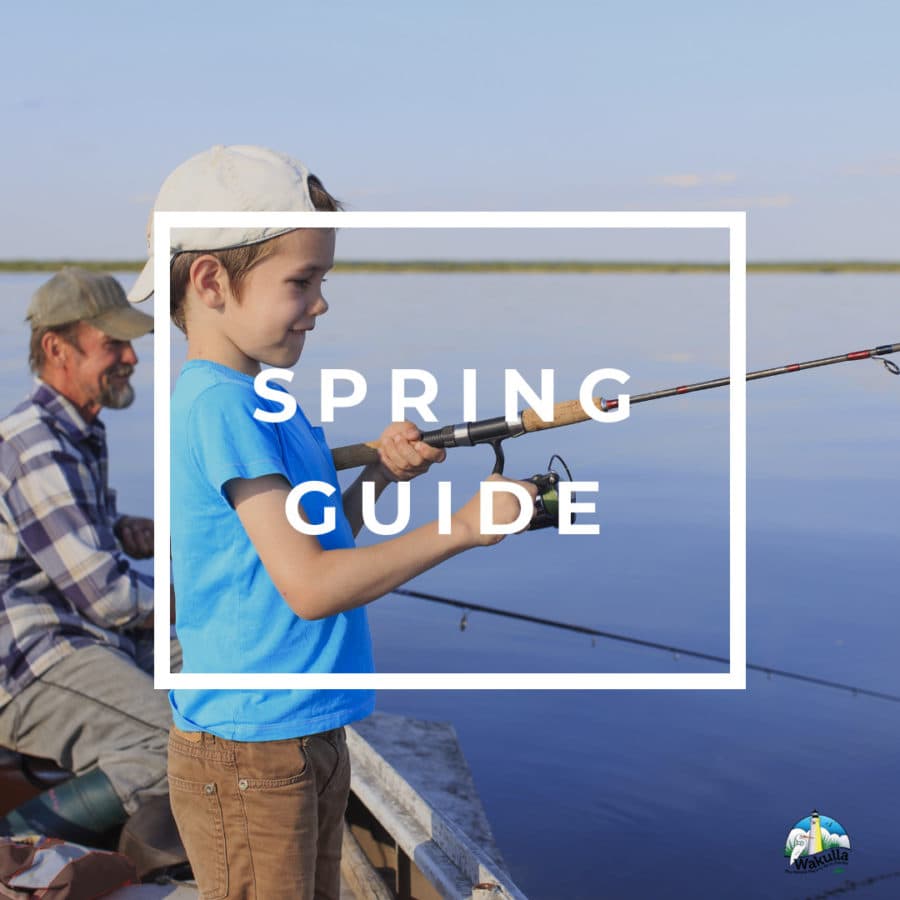 Image of Wakulla County Spring Guide Cover