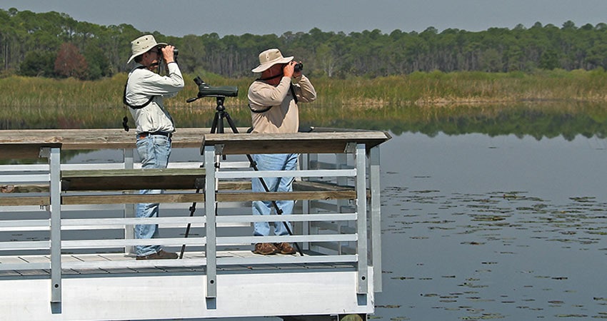 Two men with binoculars on a dock