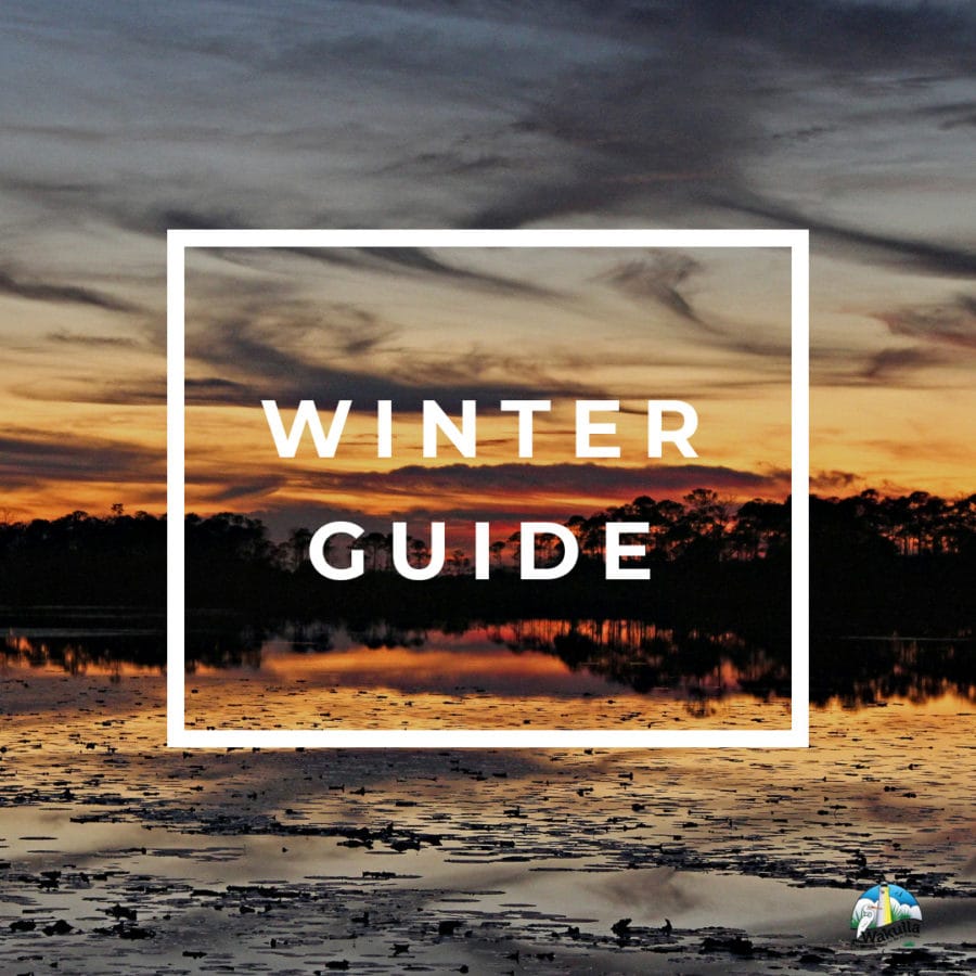 Image of Wakulla County Winter Guide Cover